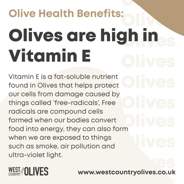 High in Vitamin E